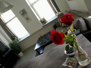 Апартаменты Cozy apartment with stained glass Вильнюс Апартаменты-студио-10