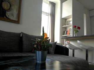 Апартаменты Cozy apartment with stained glass Вильнюс Апартаменты-студио-22
