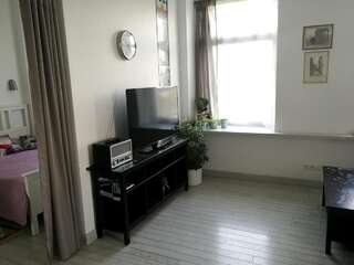 Апартаменты Cozy apartment with stained glass Вильнюс Апартаменты-студио-33