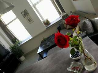 Апартаменты Cozy apartment with stained glass Вильнюс Апартаменты-студио-94