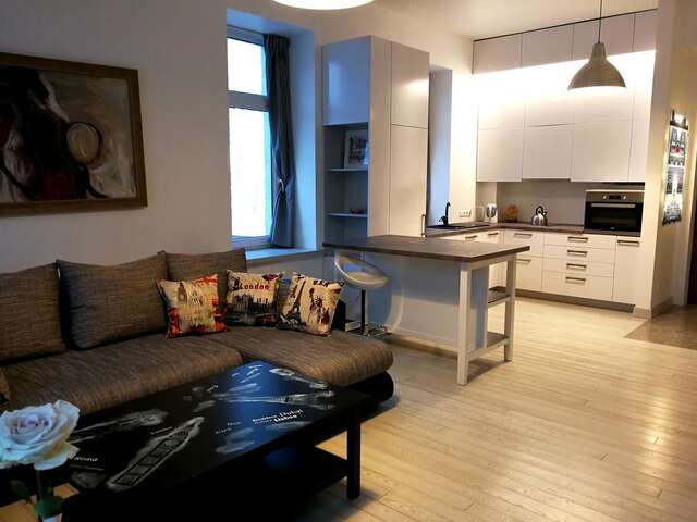 Апартаменты Cozy apartment with stained glass Вильнюс-45