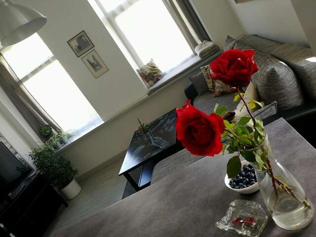 Апартаменты Cozy apartment with stained glass Вильнюс-96